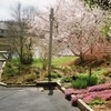 Spring has sprung