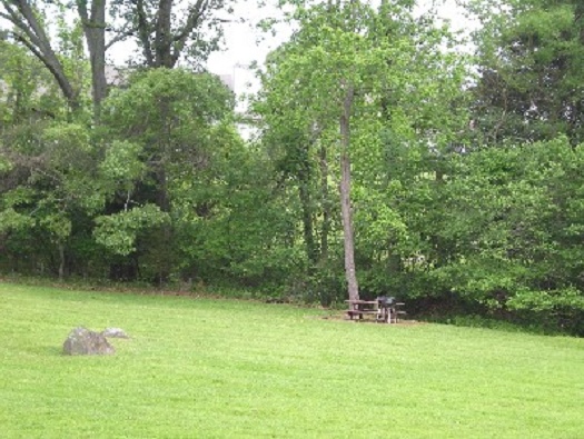 Picnic Area Picnic Area