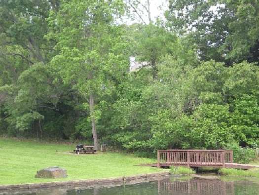Picnic Area